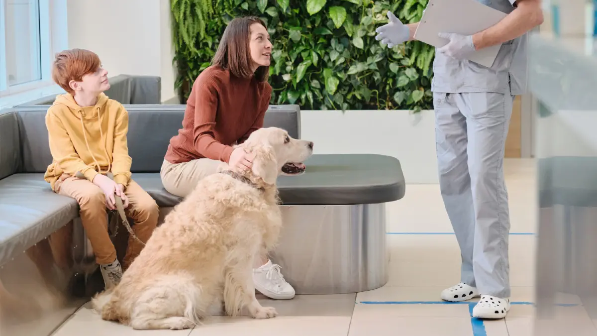 Vet Local Sitters Like a Pro