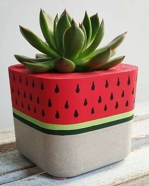 Watermelon Wonder Pot