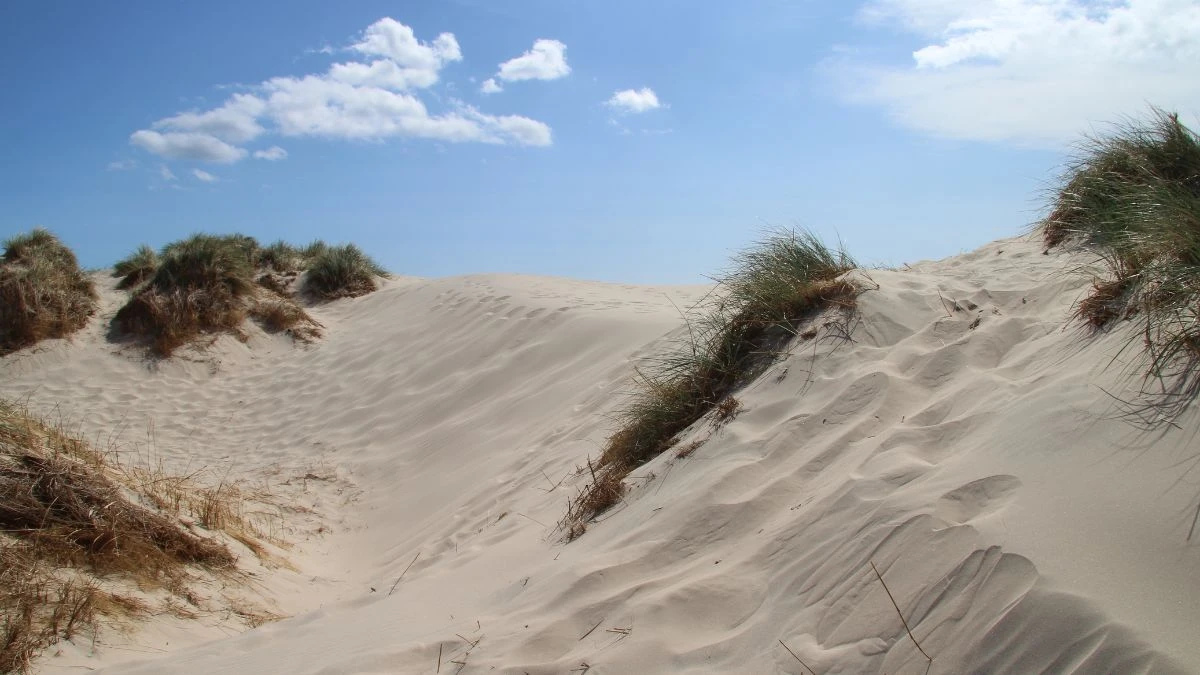 What Makes This Hidden Coastal Destination So Special