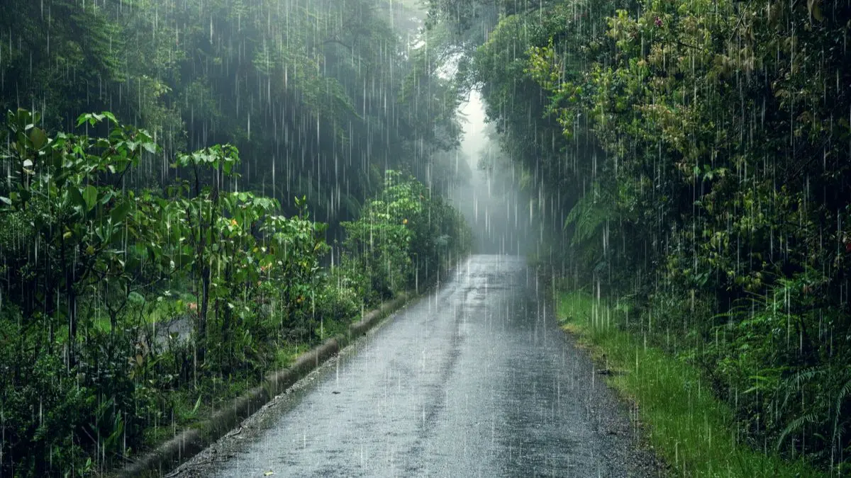 When Tourist Marketing Meets Monsoon Reality