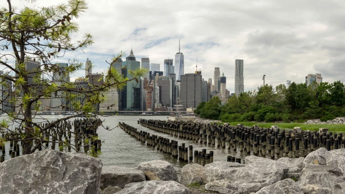 Where Locals Actually Go for Real New York Energy