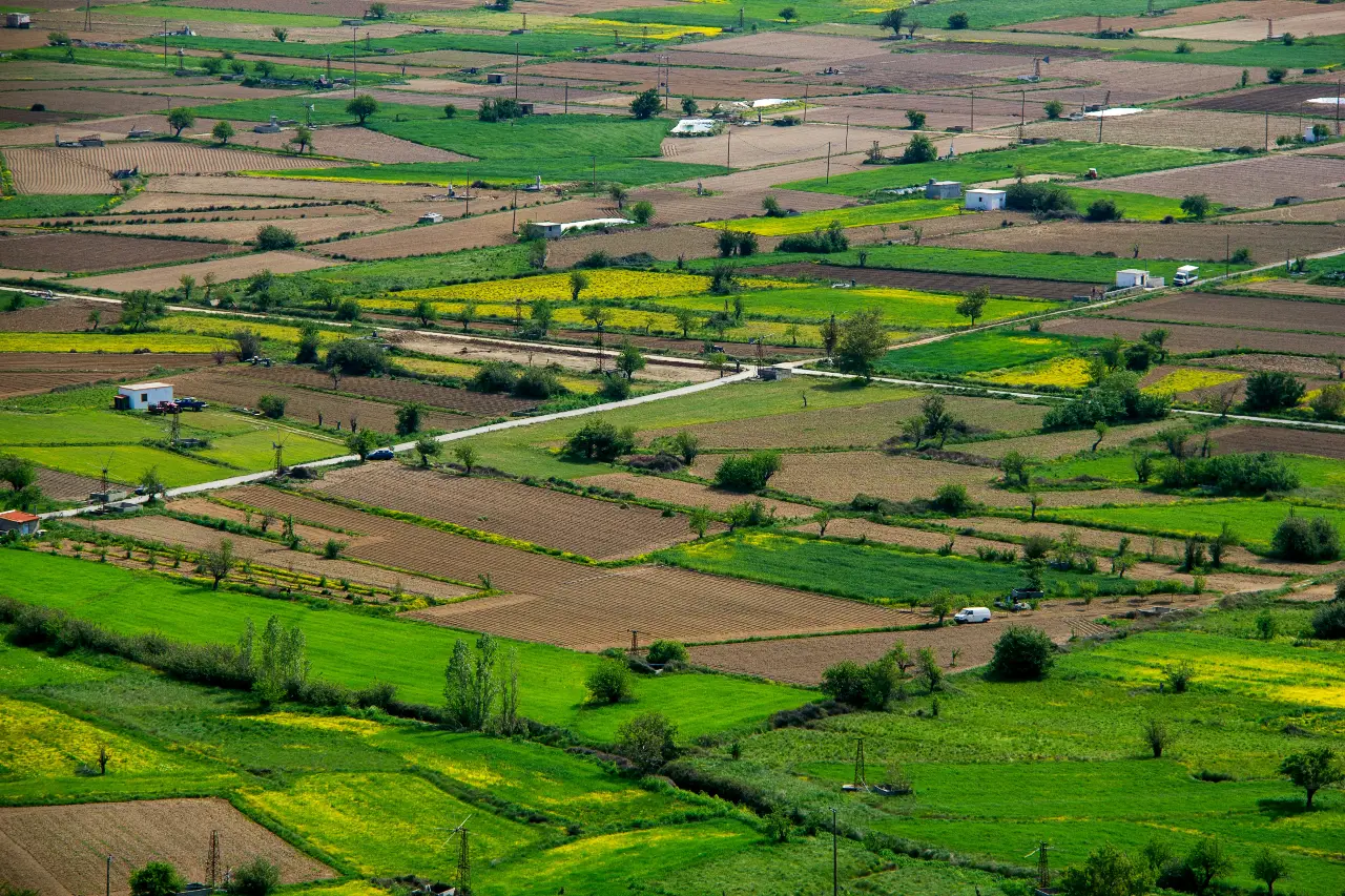 Why Cheap Land Can Become Expensive Very Fast