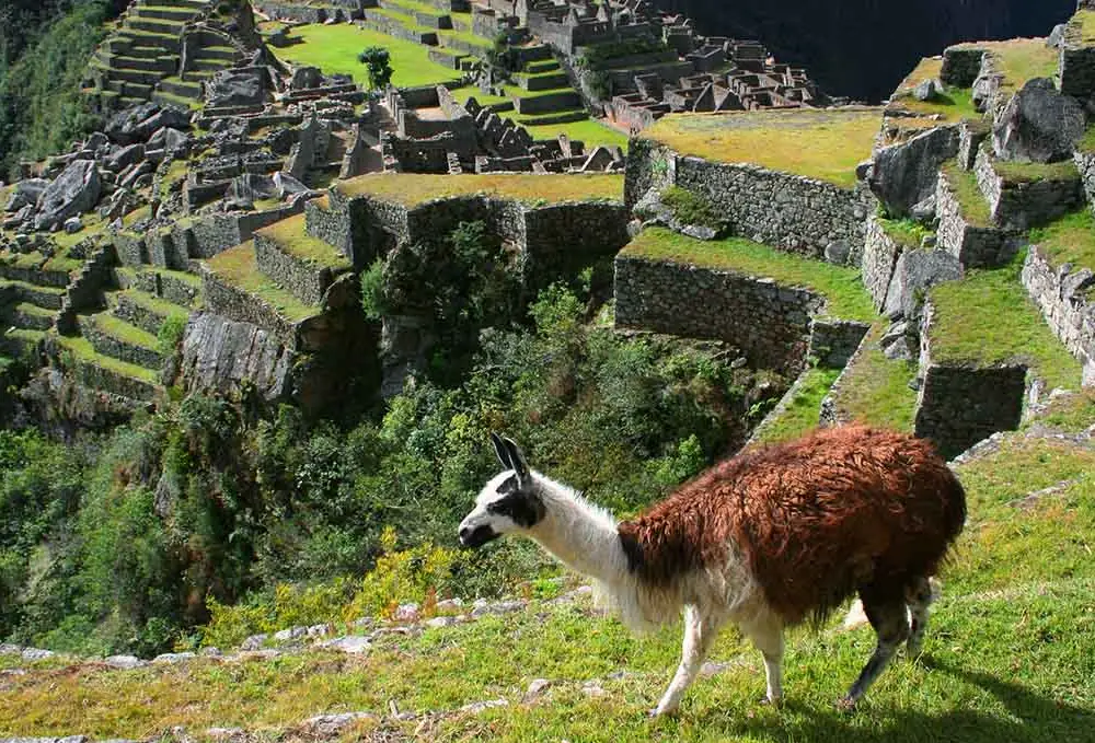 Why Machu Picchu Needs More Planning Than the Photos Show
