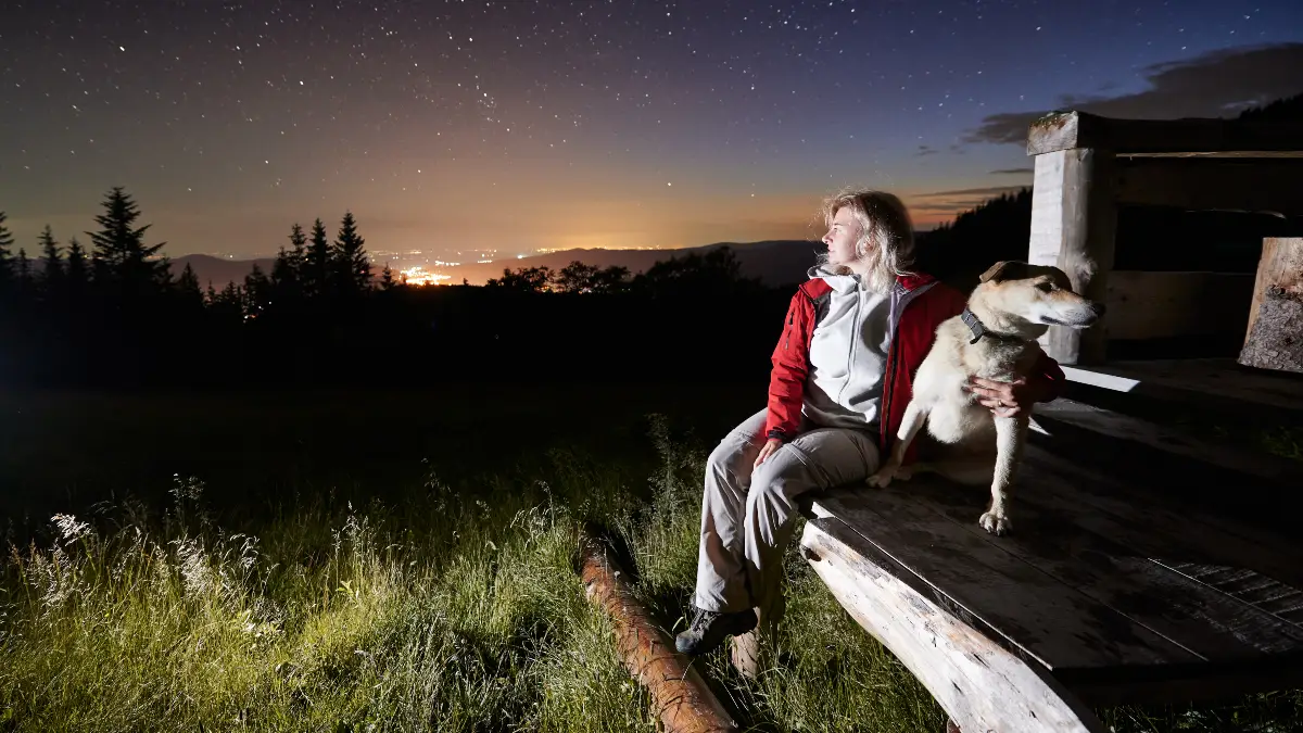 Why Spending a Night in Nature Can Be a Nightmare