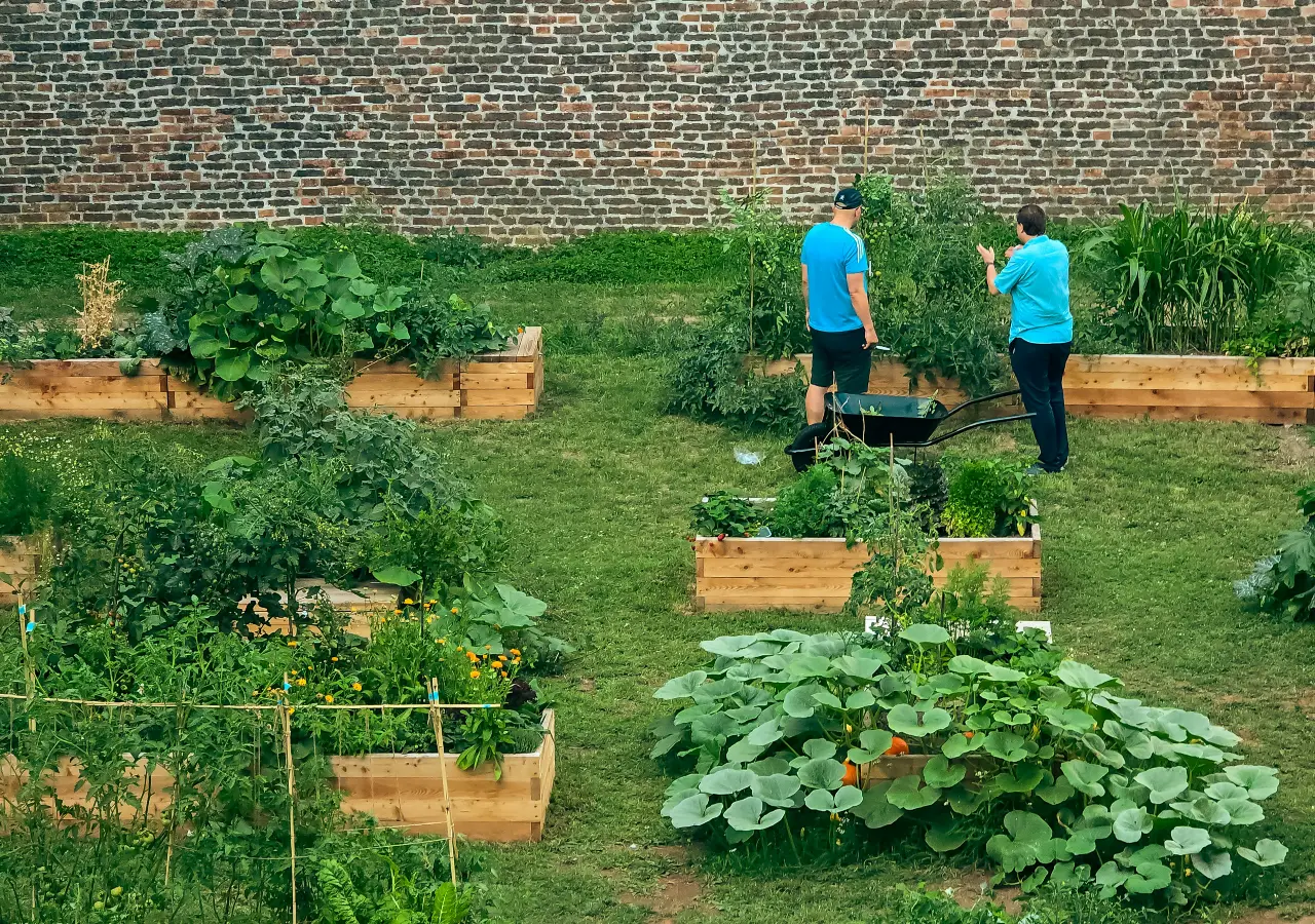Why a Garden May Cost Money Before It Saves Money