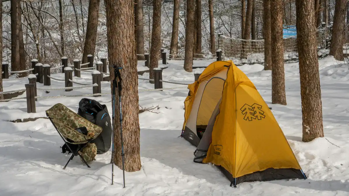 Winter Camping Damages the Environment More