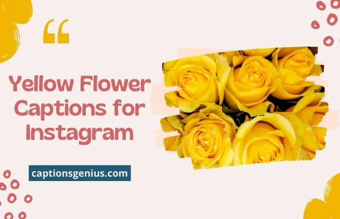 Yellow Flower Captions for Instagram