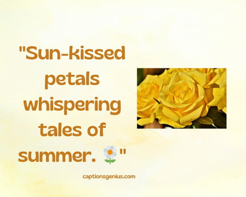  Yellow Flower Garden Captions For Instagram -Sun-kissed petals whispering tales of summer. 