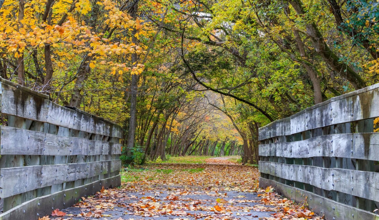 Yellow Springs, Ohio