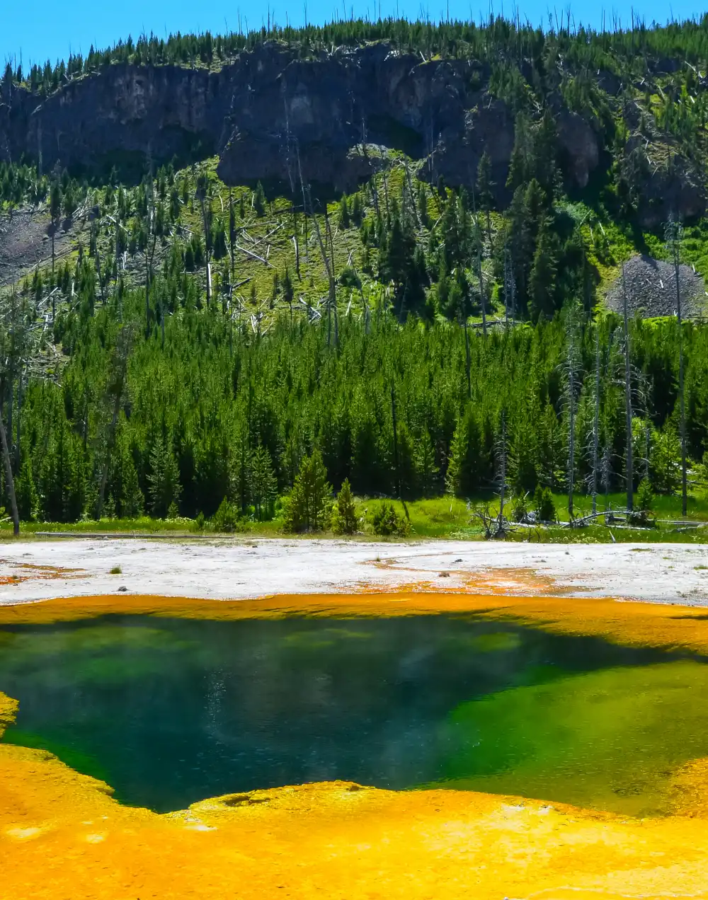 Yellowstone National Park - Gallatin National Forest