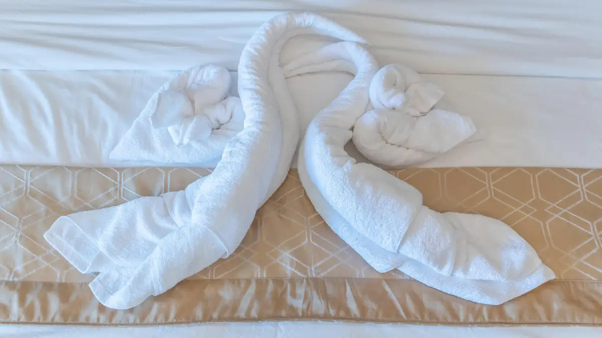 Your "Clean" Room Is a Bacteria Breeding Ground