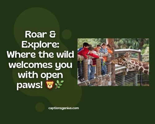 Zoo Captions For Instagram - Roar & Explore: Where the wild welcomes you with open paws! 🦁