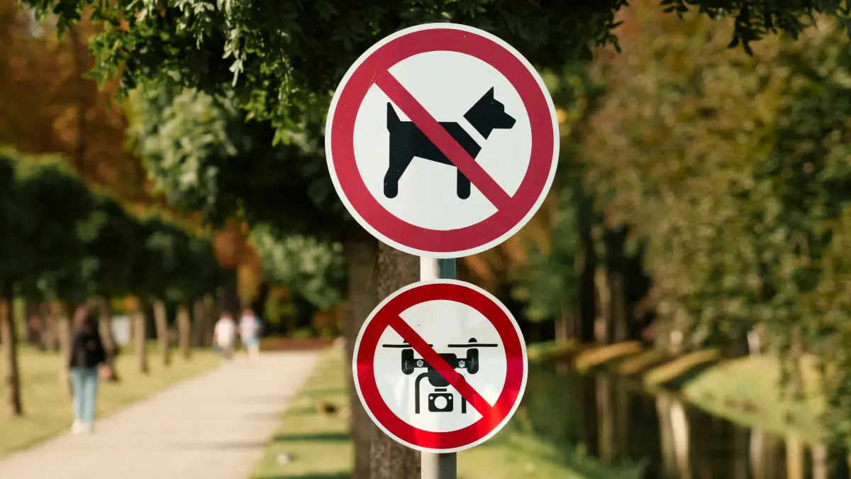 Animal awarness and safety