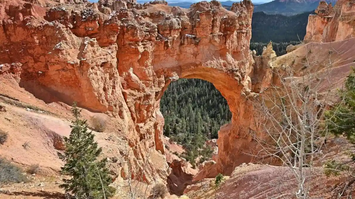 bryce national park
