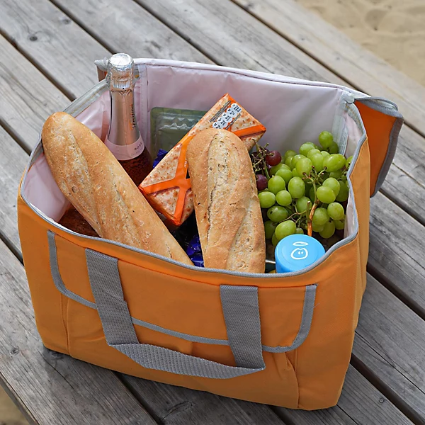 Are you carrying any food, plants, or agricultural items?"
