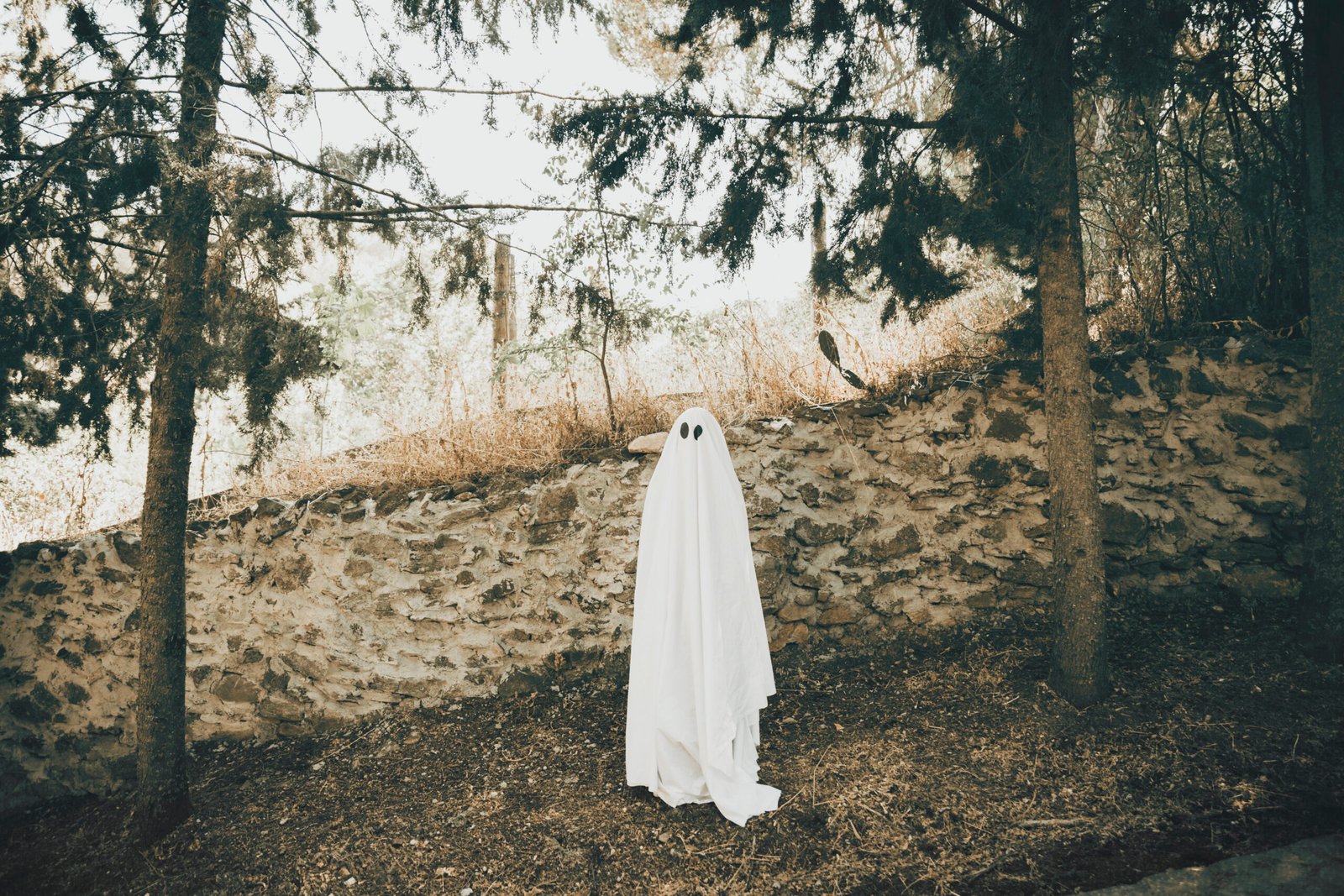 gloomy-phantom-near-wall-park