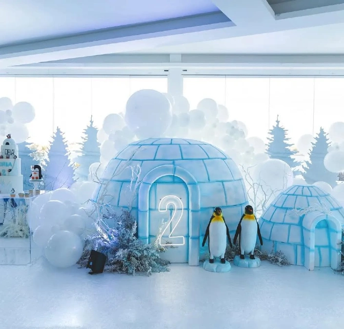 Arctic Igloo Adventure