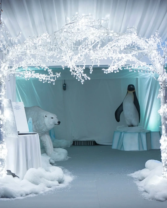 Crystal Winter Wonderland Archway
