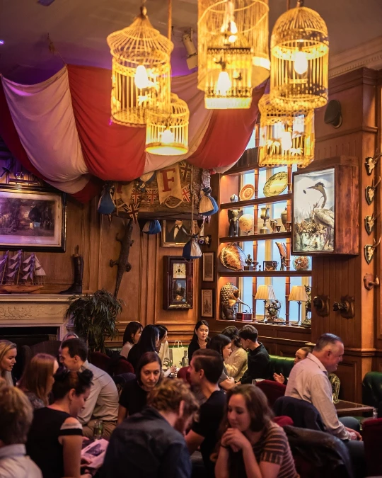 Explorer's Curiosity Lounge