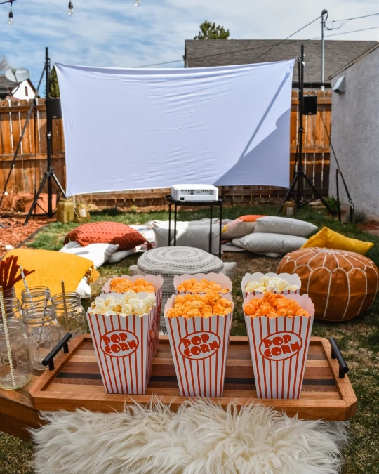 Classic Popcorn Picnic