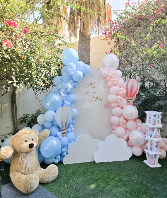 Split Pink and Blue Teddy Bear Theme