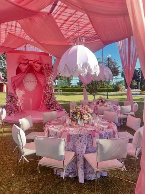 Pink Bow and Canopy Dining