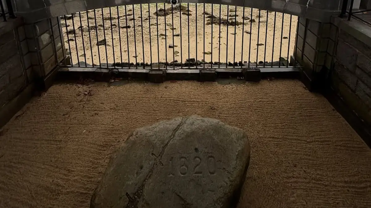 plymouth rock