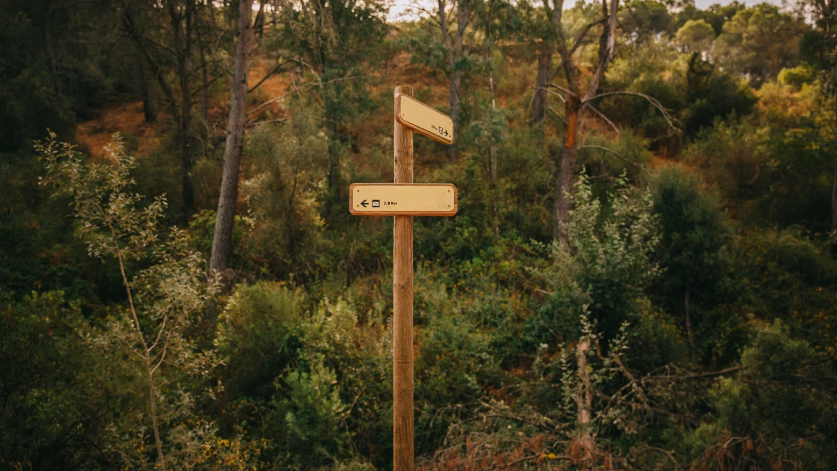 sign nature