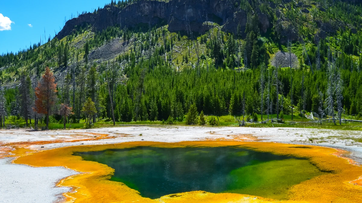 yellowstone